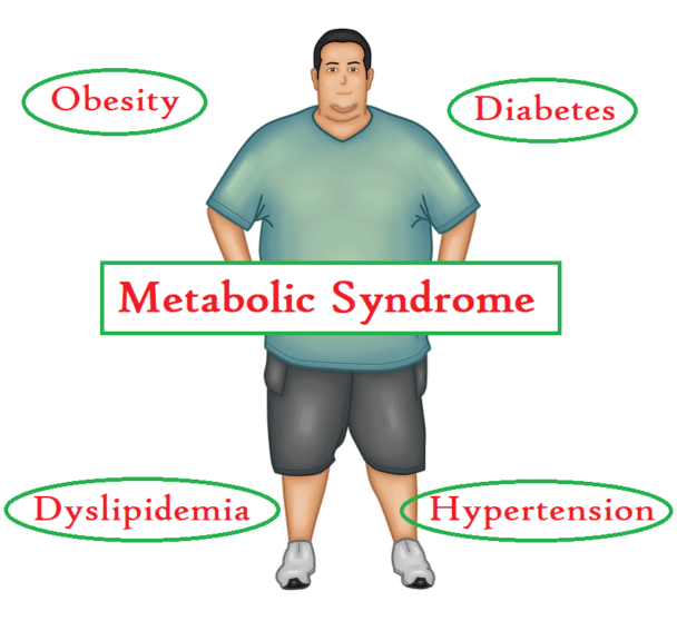 What Is Metabolic Syndrome, Insulin Resistance Syndrome Or Syndrome X?