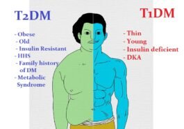 diabetes mellitus difference type 1 and 2