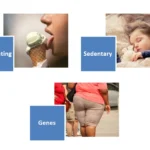 Causes of Obesity and Weight Gain in Adults and Childhood 30 causes of obesity and weight gain childhood obesity genetic obesity