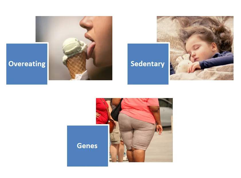 causes of obesity and weight gain childhood obesity genetic obesity