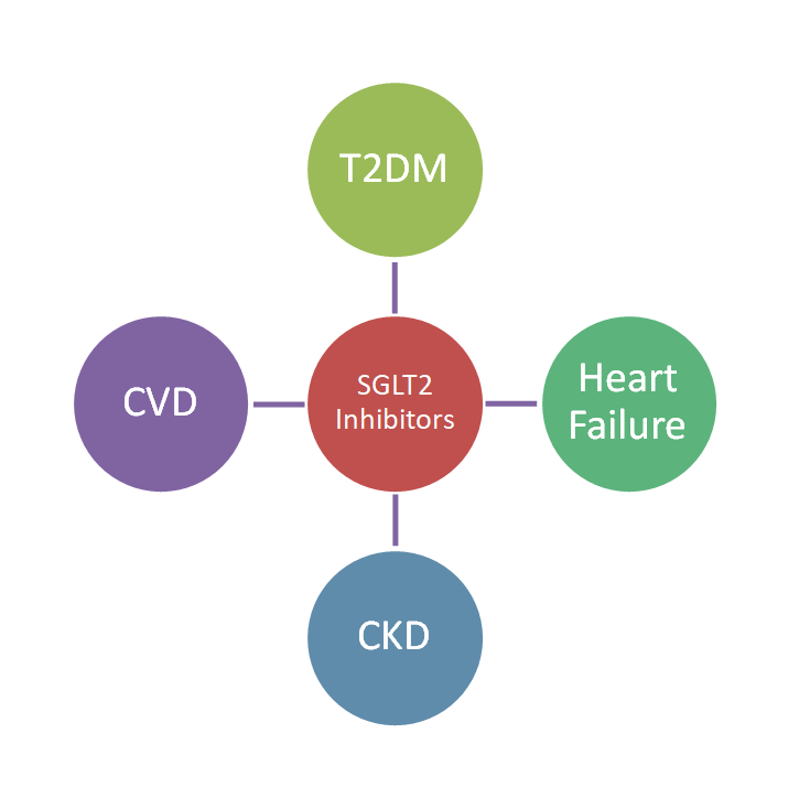 sglt2 inhibitors comparison comparing efficacies in heart failure, diabetes, cvd, ckd, and obesity