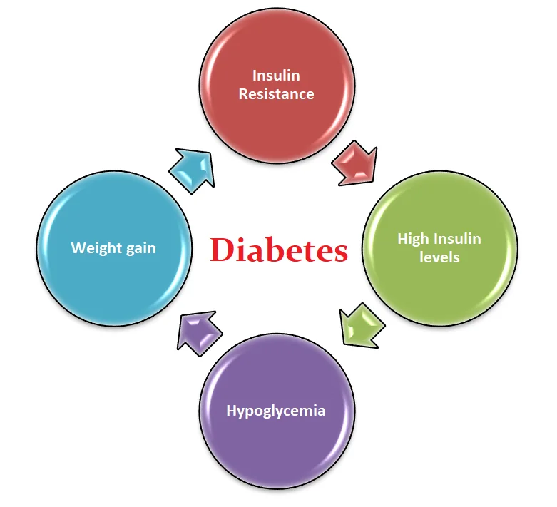 NIDDM (Non-Insulin Dependent Diabetes Mellitus) - T2DM 15 the vicious cycle of insulin resistance, insulin secretion, and weight gain in NIDDM T2DM