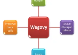 Semaglutide mechanism of action ozempic mode of action rybelsus wegovy