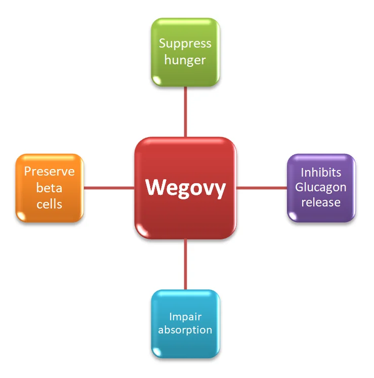 Semaglutide Mechanism Of Action Ozempic Rybelsus And Wegovy