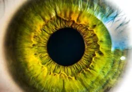 insulin side effects retinopathy jardiance side effects on eyes ozempic and diabetic retinopathy