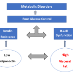 visceral fat metabolic syndrome diabetes and insulin resistance