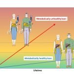 What is Visceral Fat (Omental Fat) & How to Get Rid of it? 44 visceral fat omental fat internal fat makes you unhealthy