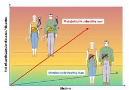 visceral fat omental fat internal fat makes you unhealthy