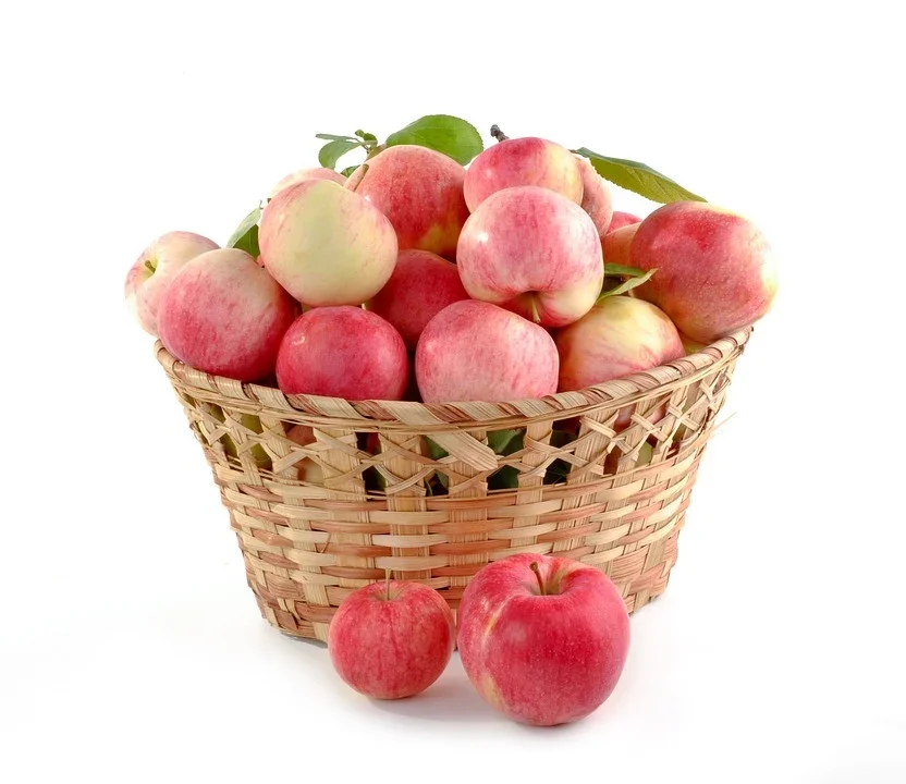 Foods to Avoid While Taking Metformin (Glucophage) 15 apples for weight loss Foods to Avoid While Taking Metformin