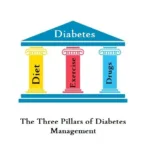 NIDDM (Non-Insulin Dependent Diabetes Mellitus) - T2DM 30 the three pillars of diabetes control non insulin dependent diabetes mellitus niddm