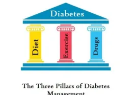 the three pillars of diabetes control non insulin dependent diabetes mellitus niddm