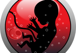 toxemia of pregnancy preeclampsia