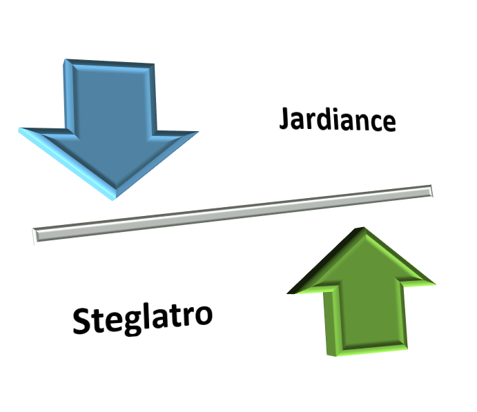 steglatro vs jardiance