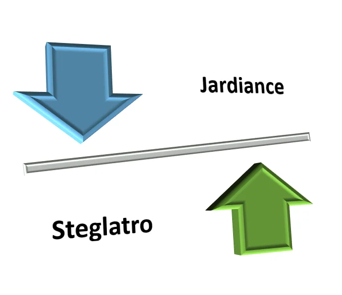 steglatro vs jardiance