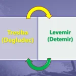 tresiba to levemir conversion guidelines