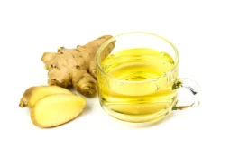 ginger tea ozempic nausea relief best teas for weight loss