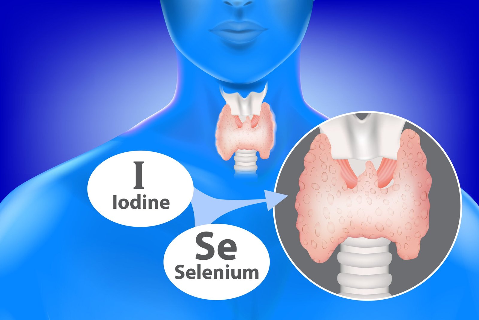 diet-for-hyperthyroidism-and-hypothyroidism-dibesity