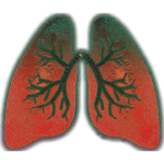 Is Dupixent for Asthma or Eczema (Atopic Dermatitis)? 27 is dupixent for asthma or eczema