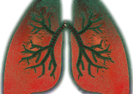 is dupixent for asthma or eczema