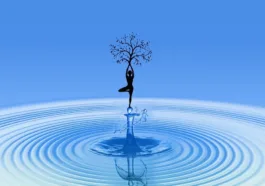 19 Reasons NOT to Have Bariatric Surgery 11 reasons not to have bariatric surgery weight loss surgery