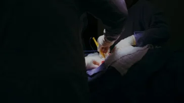 medical vs surgical weight loss complications of bariatric surgery weight loss surgery ozempic after gastric bypass adiponectin and weight loss after bariatric surgery