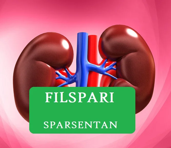 kidneys filspari sparsentan iga nephropathy