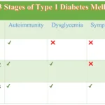 The Three Different Stages of Type 1 Diabetes 28 the three different stages of type 1 diabetes mellitus