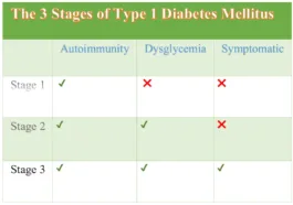 the three different stages of type 1 diabetes mellitus