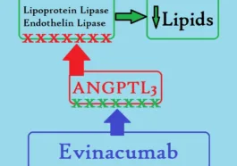 Evinacumab MOA Evkeeza