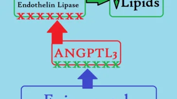 Evinacumab MOA Evkeeza