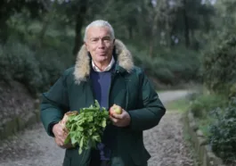 calorie restriction longevity