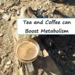 foods to burn fat tea and coffee to burn fat