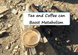 11 Healthy Foods to Burn Fat Quickly and Gain Muscles 12 foods to burn fat tea and coffee to burn fat